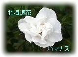 �k�C����-�n�}�i�X