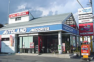 �Ή�