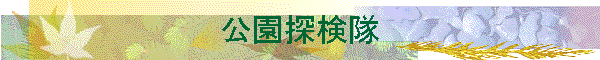 �����T����