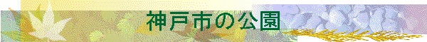 �_�ˎs�̌���