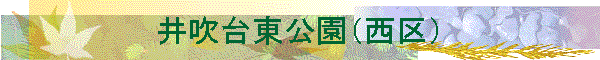 �䐁�䓌�����i����j
