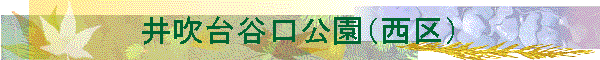 �䐁��J�������i����j