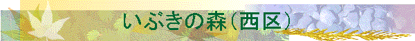 ���Ԃ��̐X�i����j
