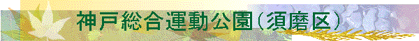 �_�ˑ����^�������i�{����j