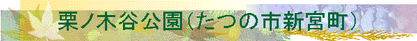 �I�m�ؒJ�����i���̎s�V�{���j