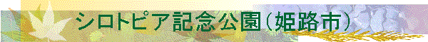 �V���g�s�A�L�O�����i�P�H�s�j