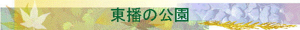 ���d�̌���