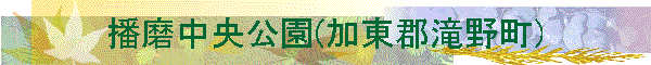 �d����������(�����S��쒬)