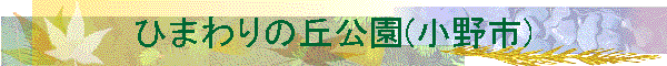 �Ђ܂��̋u����(����s)