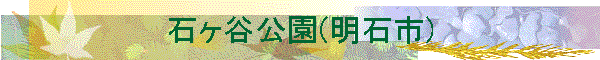 �΃��J����(���Ύs)