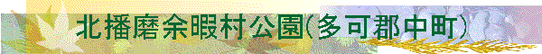 �k�d���]�ɑ�����(���S����)