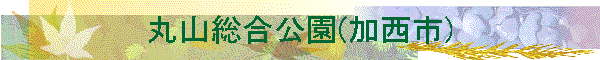�ێR��������(�����s)