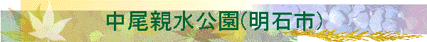 �����e������(���Ύs)