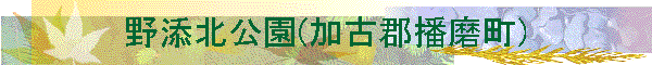 ��Y�k����(���ÌS�d����)