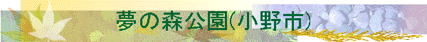 ���̐X����(����s)