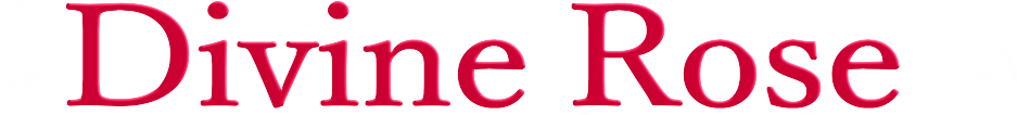 Artist Web Site