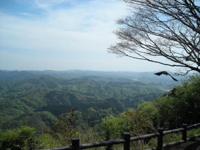 鹿野山