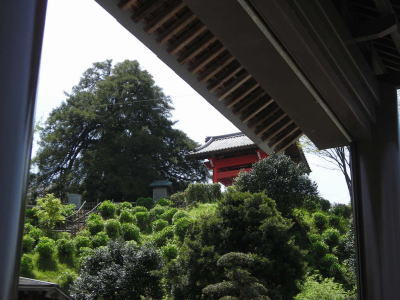 圓明院・山門