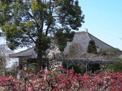 長善寺・花に彩られた本堂