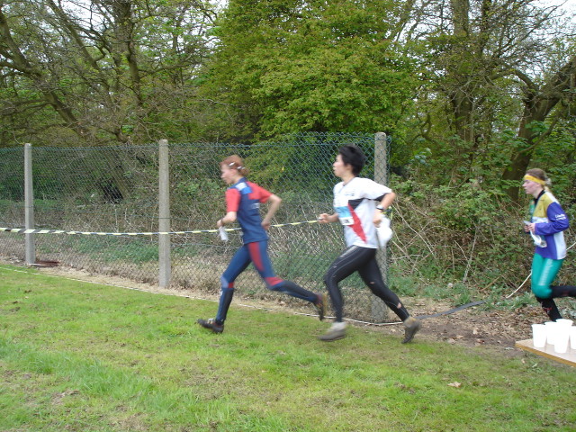 img0017.jpg