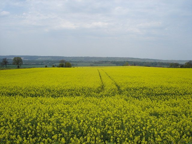 img0029.jpg