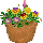�͂Ȃ݂����̎ʐ^��