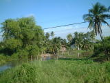 ԑ2