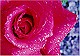 0112_thumb.jpg