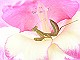 0304_thumb.jpg