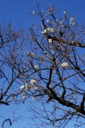 Photo1