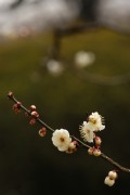 Photo6